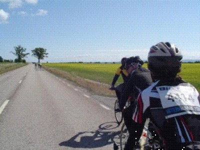 team taking part.